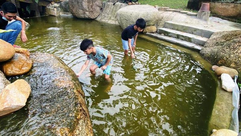 Pulai Spring Resort Kampung Kangkar Pulai Eksteriør billede